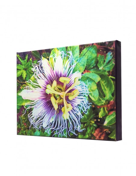 Impresion Gran Formato