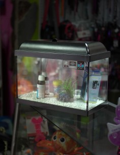 Pecera de 25 ltr. con Leds
