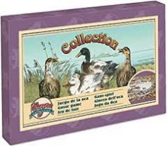 JUEGO DE LA OCA