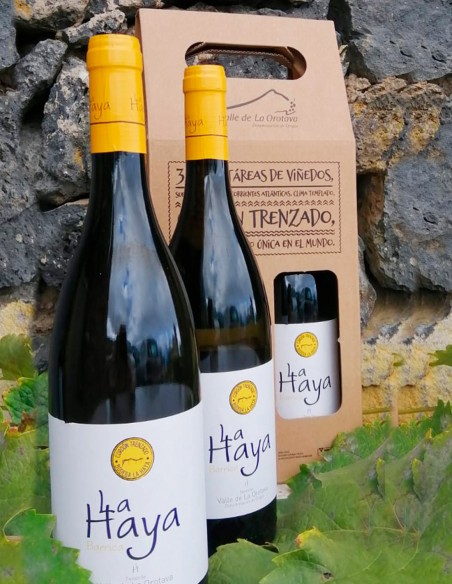 Selección de 2 vinos Barrica La Haya